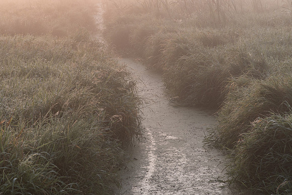 Drainage Ditch and Fog
