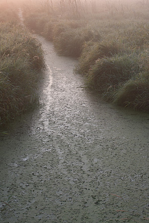 Drainage Ditch at Sunrise