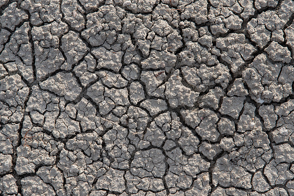 Drought Cracked Dirt