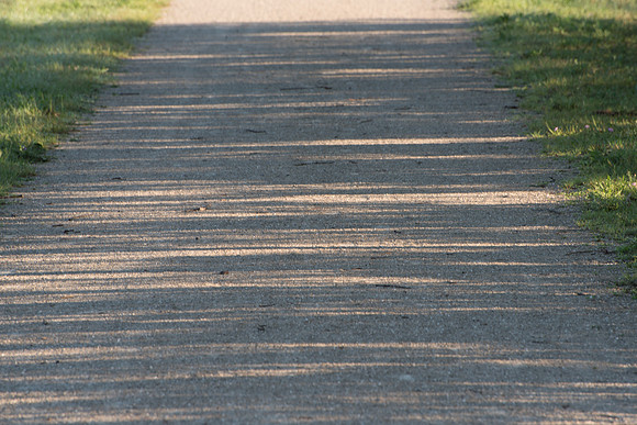 Gravel Bike Path Shadows