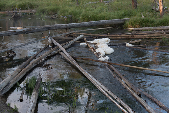 Logjam in River