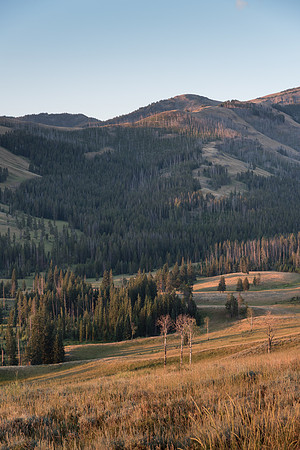 Morning in the Mountains