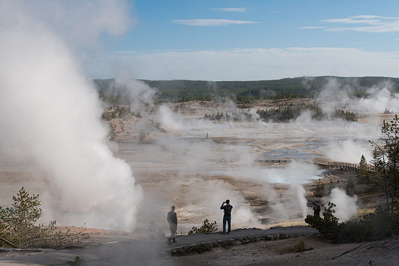 Norris Geyser Basin Steamy Morning