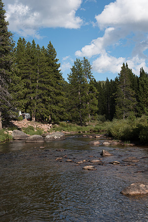 South Tongue River Trout Stream