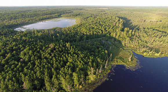 Two Lakes Air Photo