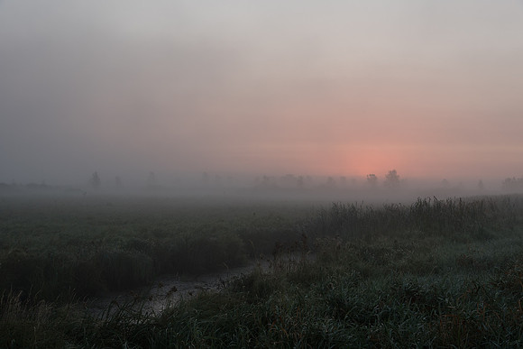 Watercolor Sunrise