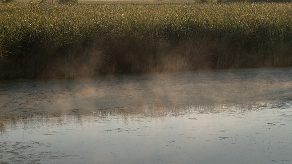 Wetland Water Mist