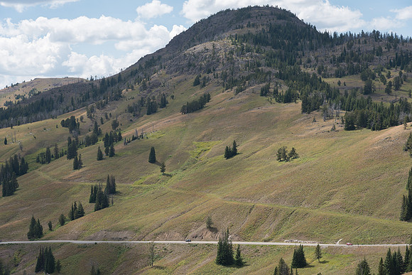 Yellowstone National Park Road