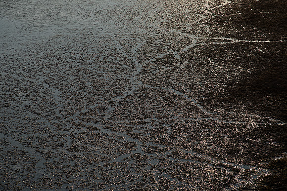 Abstract Water Trails
