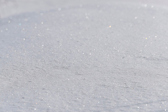 Snow Close Up