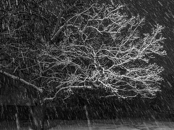 Snowing in the Night