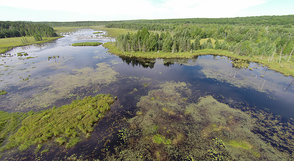 Northern Pond