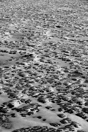 Landscape of Pluto?