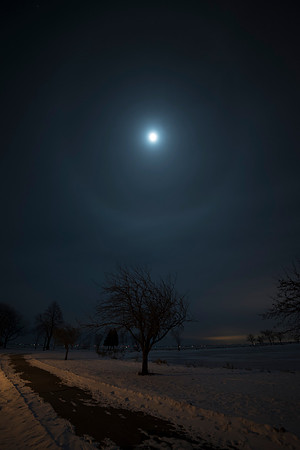 Moondog – Moon Halo