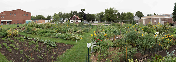 Community Garden Panorama