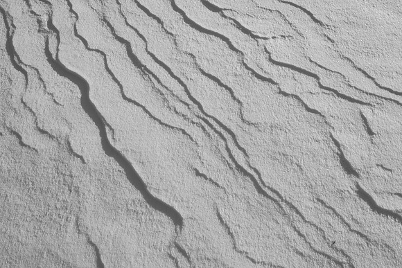 Patterns in the Snow