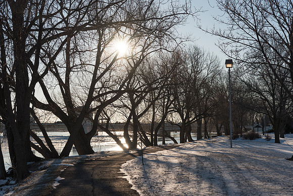 Winding path of backlit trees