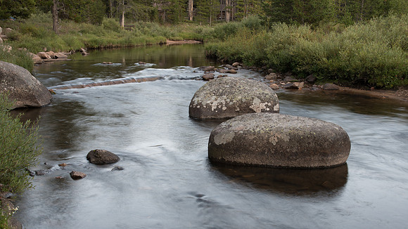 Trout Steam Blur Wyoming