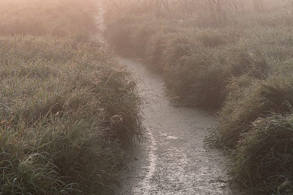 Drainage Ditch and Fog