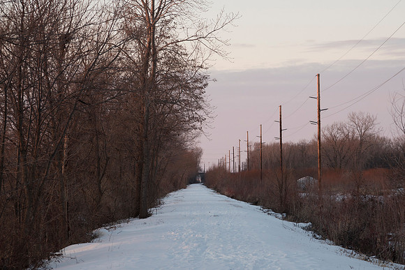 Winter Trail