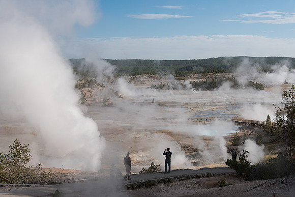 Norris Geyser Basin Steamy Morning