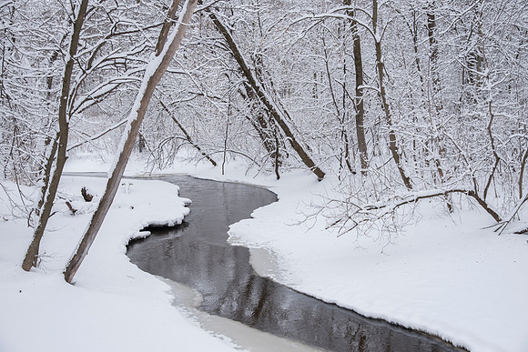 Creek and Winter Wonderland