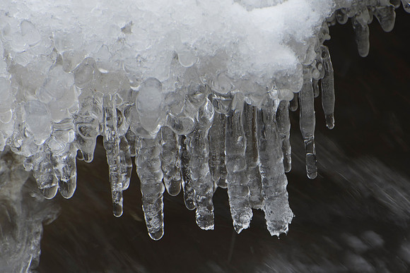 Dripping Icicles by Creek