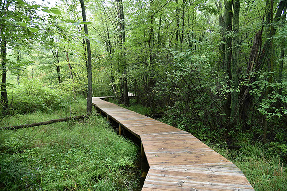 Heckrodt Wetland Reserve