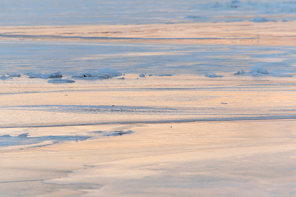 Peach Colored Ice
