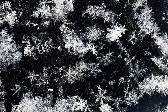 Frost on Car Hood