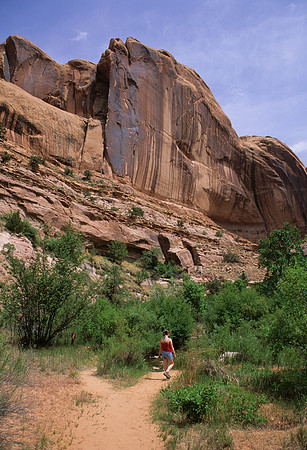 Desert Hiking Trail