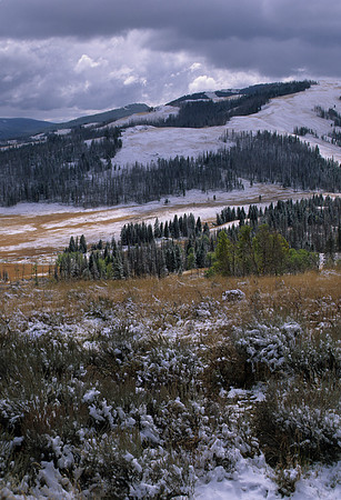 Winter Comes to Yellow Stone