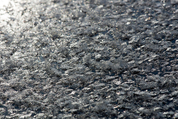 Frost on Car Hood