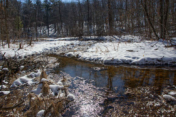 Winter Trout Stream
