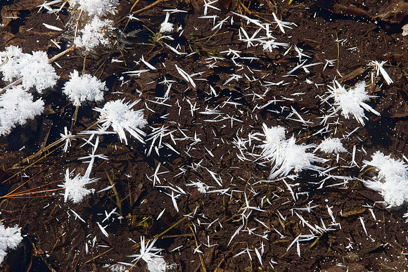 Ice Crystals
