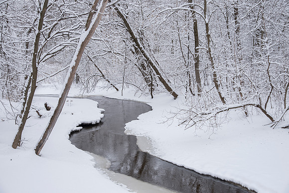 Creek and Winter Wonderland